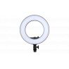 GODOX RINGLIGHT LR SERIE