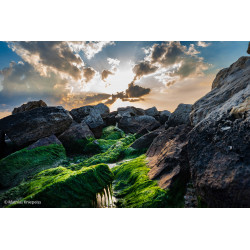 Les grands appareils photo méritent les meilleurs objectifs…