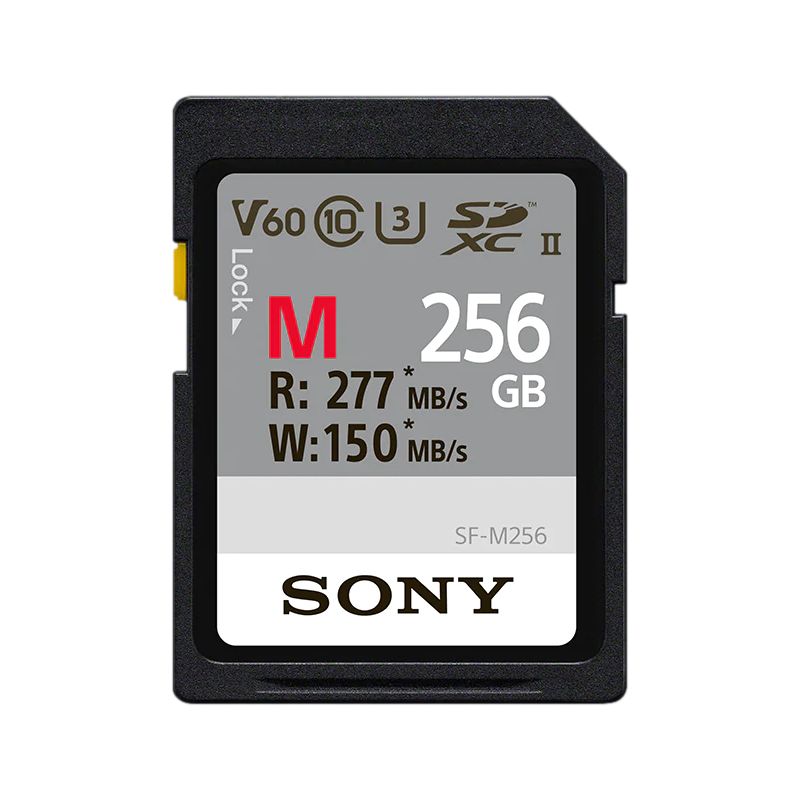 SONY CARTE SDXC UHS-II TYPE M