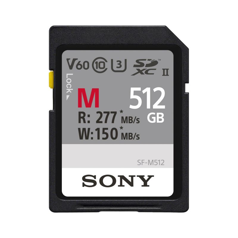 SONY CARTE SDXC UHS-II TYPE M