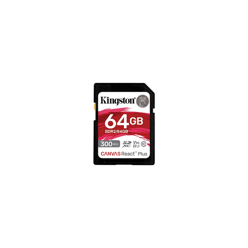 KINGSTON CARTE SD CANVAS REACT PLUS