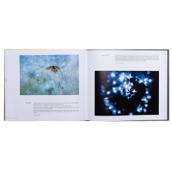 ART BY MACRO INSPIRATIONS MACRO ET PROXI