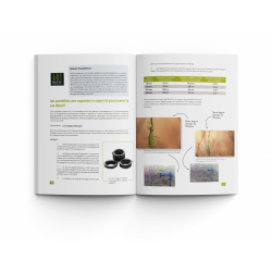 ART BY MACRO L'ART DE LA PROXIPHOTOGRAPHIE