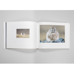 TIBET, MINÉRAL ANIMAL - VINCENT MUNIER