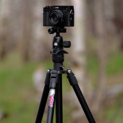 3 LEGGED THING TREPIED PUNKS PATTI 2.0