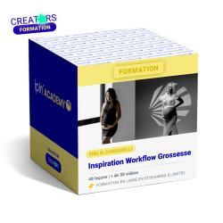 ÉMILIE ZANGARELLI FORMATION INSPIRATION WORKFLOW GROSSESSE