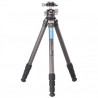LEOFOTO KIT TREPIED LS-254C + ROTULE...