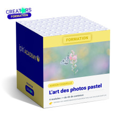 ADRIEN COQUELLE FORMATION SUR L'ART DES PHOTOGRAPHIES PASTEL