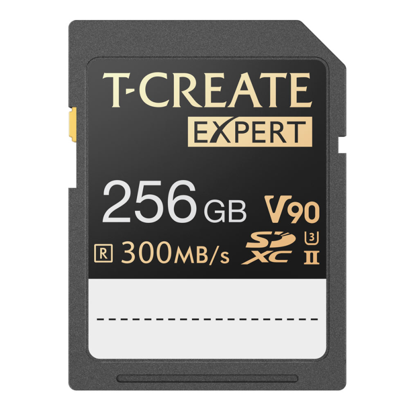 TEAMGROUP CARTE MEMOIRE EXPERT SDXC UHS-II U3 V90