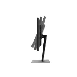 ASUS MONITEUR PROART PA248QV