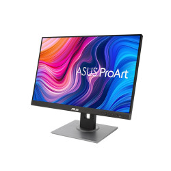 ASUS MONITEUR PROART PA248QV