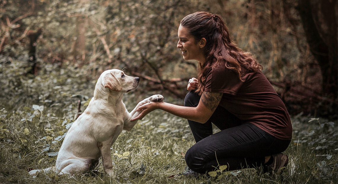 chien qui donne la patte femme