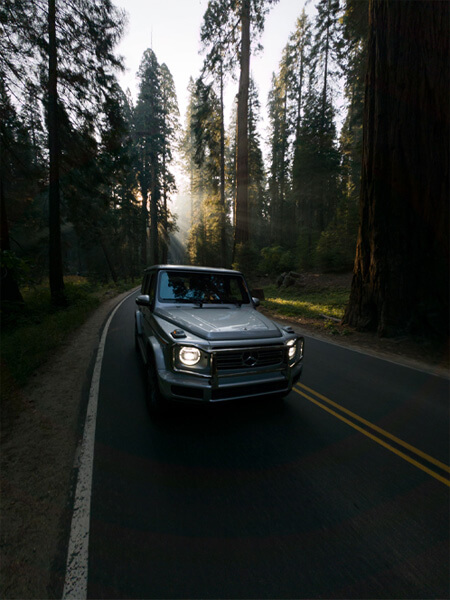 Voiture dans la forêt
