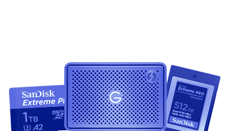 Sandisk